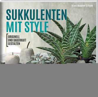 Sukkulenten mit Style