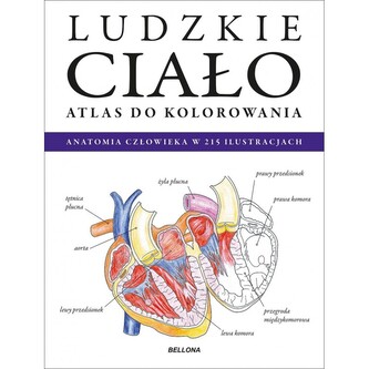 Ludzkie ciało. Atlas do kolorowania