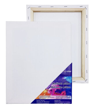 Plátno malířské 60 x 70 cm