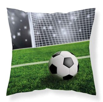 DETEXPOL Povlak na polštářek Fotbal stadion micro  Polyester, 40/40 cm