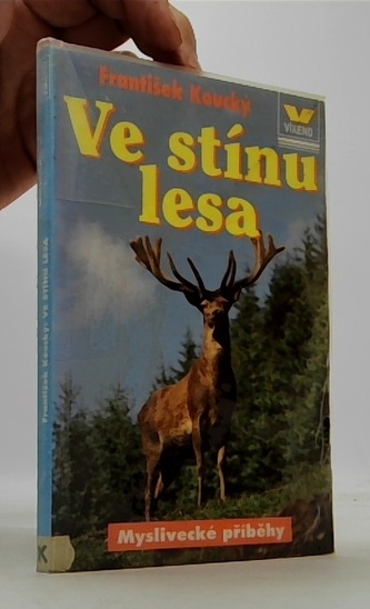 Ve stínu lesa
