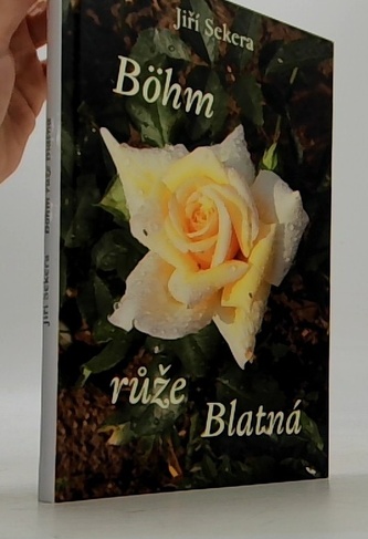Böhm růže Blatná