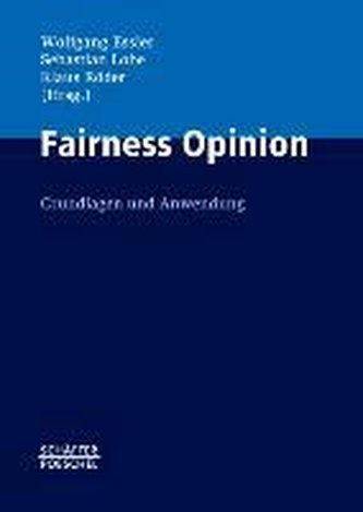 Fairness Opinion