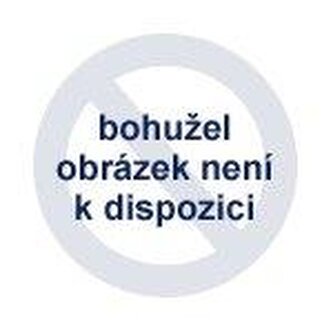 Vaflovač Huslog na 4 vafle černý