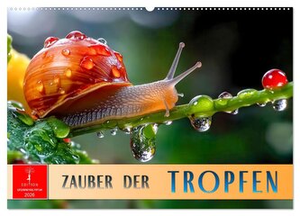 Zauber der Tropfen (Wandkalender 2026 DIN A2 quer), CALVENDO Monatskalender