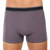Pánské boxerky Andrie vícebarevné (PS 5828/light gray) 3XL