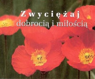 Perełka 193 - Zwyciężaj dobrocią i miłością. Perełka 193 - Zwyciężaj dobrocią i miłością.