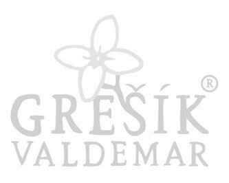 Medvědí česnek nať