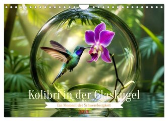 Kolibri in der Glaskugel (Wandkalender 2026 DIN A4 quer), CALVENDO Monatskalender