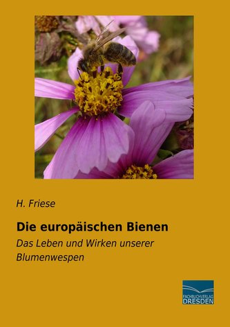 Die europäischen Bienen