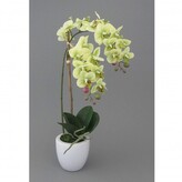 Orchidej v květináči, 43 cm  1116010-50