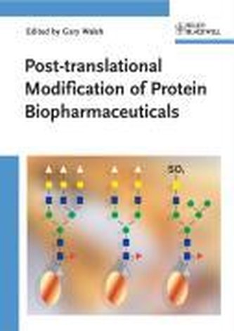 Post-translational Modification of Protein Biopharmaceuticals Post-translational Modification of Protein Biopharmaceuticals