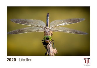 Libellen 2020 - Timokrates Kalender, Tischkalender, Bildkalender - DIN A5 (21 x 15 cm)