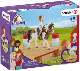 Horse Club Hanna's Werstern riding