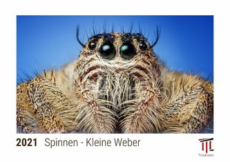 Spinnen - Kleine Weber 2021 - Timokrates Kalender, Tischkalender, Bildkalender - DIN A5 (21 x 15 cm)