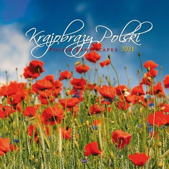 Kalendarz 2021 KD-35 Krajobrazy Polski AVANTI