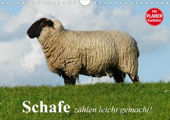 Schafe zählen leicht gemacht! (Wandkalender 2020 DIN A4 quer)