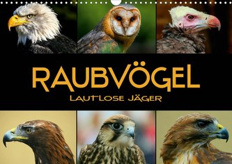 Raubvögel - lautlose Jäger (Wandkalender 2021 DIN A3 quer)