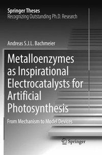 Metalloenzymes as Inspirational Electrocatalysts for Artificial Photosynthesis