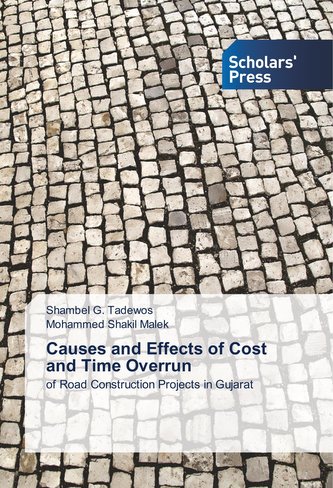 Causes and Effects of Cost and Time Overrun