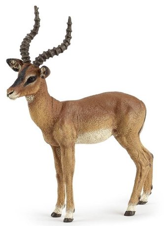 Antilopa Impala