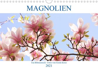 Magnolien Ein Blütenrausch (Wandkalender 2021 DIN A4 quer) Magnolien Ein Blütenrausch (Wandkalender 2021 DIN A4 quer)