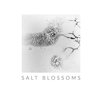 Salt Blossoms