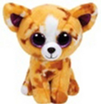 Plyš očka střední čivava