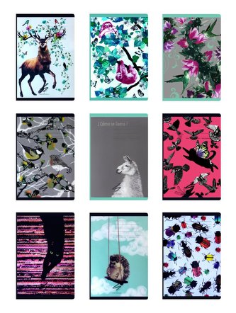 Zeszyt A4/60K linia PP Fun II (6szt) NARCISSUS