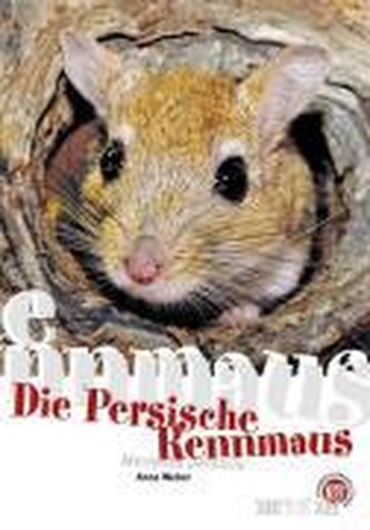 Persische Rennmaus