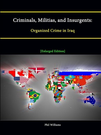 Criminals, Militias, and Insurgents