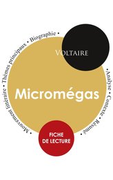 Fiche de lecture Micromégas (Étude intégrale)