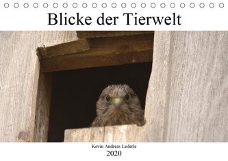 Blicke der Tierwelt (Tischkalender 2020 DIN A5 quer)