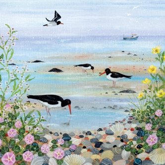 Karnet kwadrat z kopertą Oystercatchers