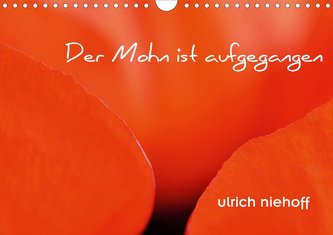 Der Mohn ist aufgegangen (Wandkalender 2021 DIN A4 quer)