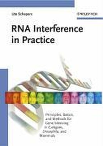 RNA Interference in Practice RNA Interference in Practice