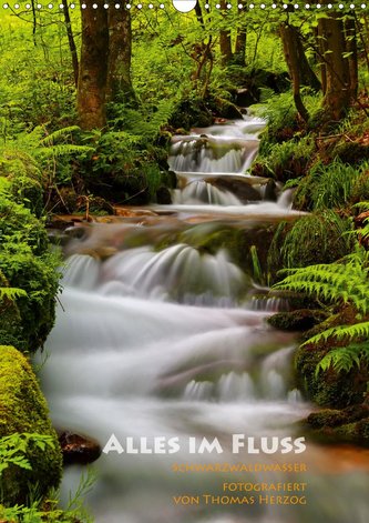 Alles im Fluss - Schwarzwaldwasser (Wandkalender 2020 DIN A3 hoch)