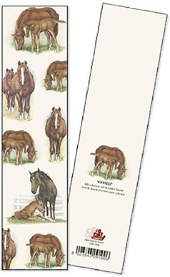 Zakładka do książki Cavalli opakowanie 2 sztuki