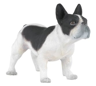 Francouzský buldoček