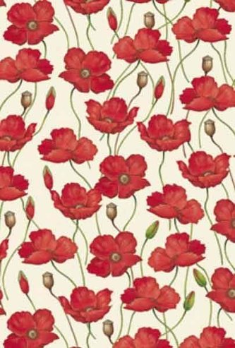 Teczka na dokumenty FF 583B ROSSI