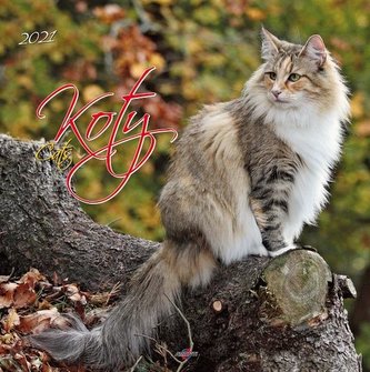 Kalendarz 2021 KD-21 Koty AVANTI