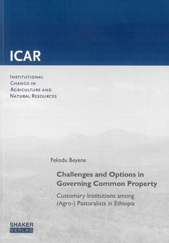 Challenges and Options in Governing Common Property
