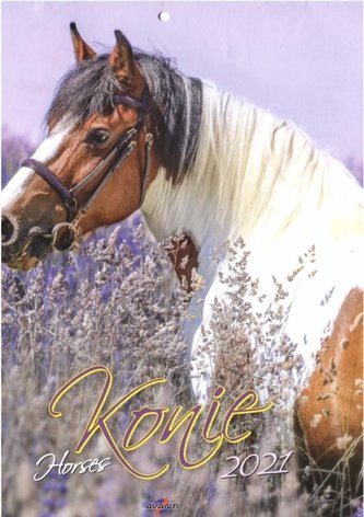 Kalendarz 2021 KSM-5 Konie AVANTI