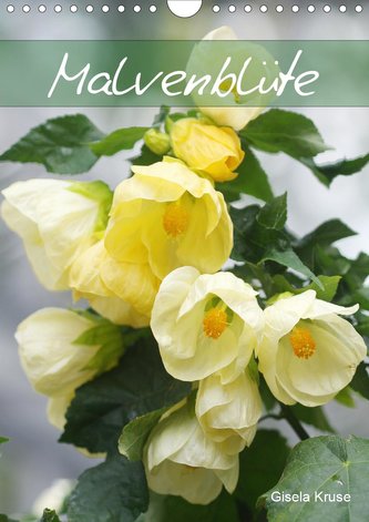 Malvenblüte (Wandkalender 2021 DIN A4 hoch) Malvenblüte (Wandkalender 2021 DIN A4 hoch)