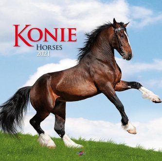 Kalendarz 2021 KD-22 Konie AVANTI
