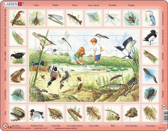 Puzzle Život u rybníka 48 dílků