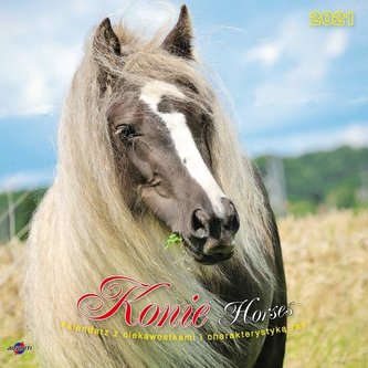 Kalendarz 2021 KAD-11 Konie AVANTI