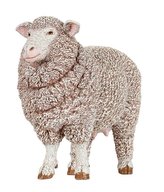 Ovce Merino