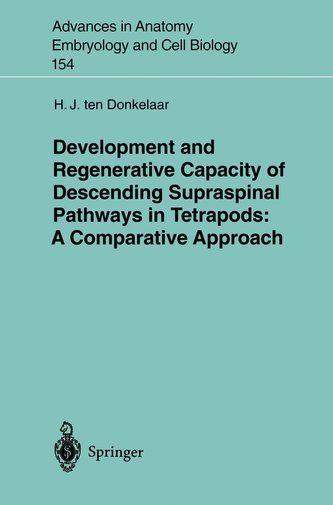 Development and Regenerative Capacity of Descending Supraspinal Pathways in Tetrapods: A Comparative Approach