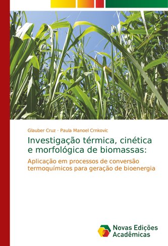 Investigação térmica, cinética e morfológica de biomassas